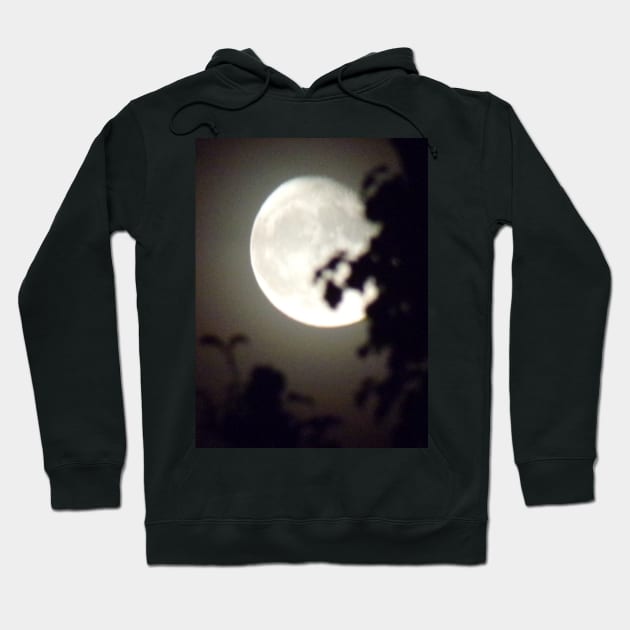 Moonlight Fun Hoodie by Angie's Apparel